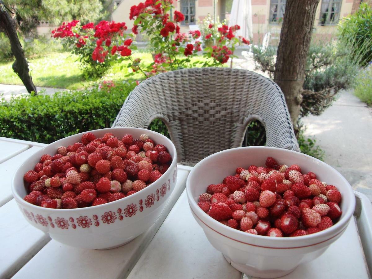 Hazelnut Valley 구아레네 외부 사진